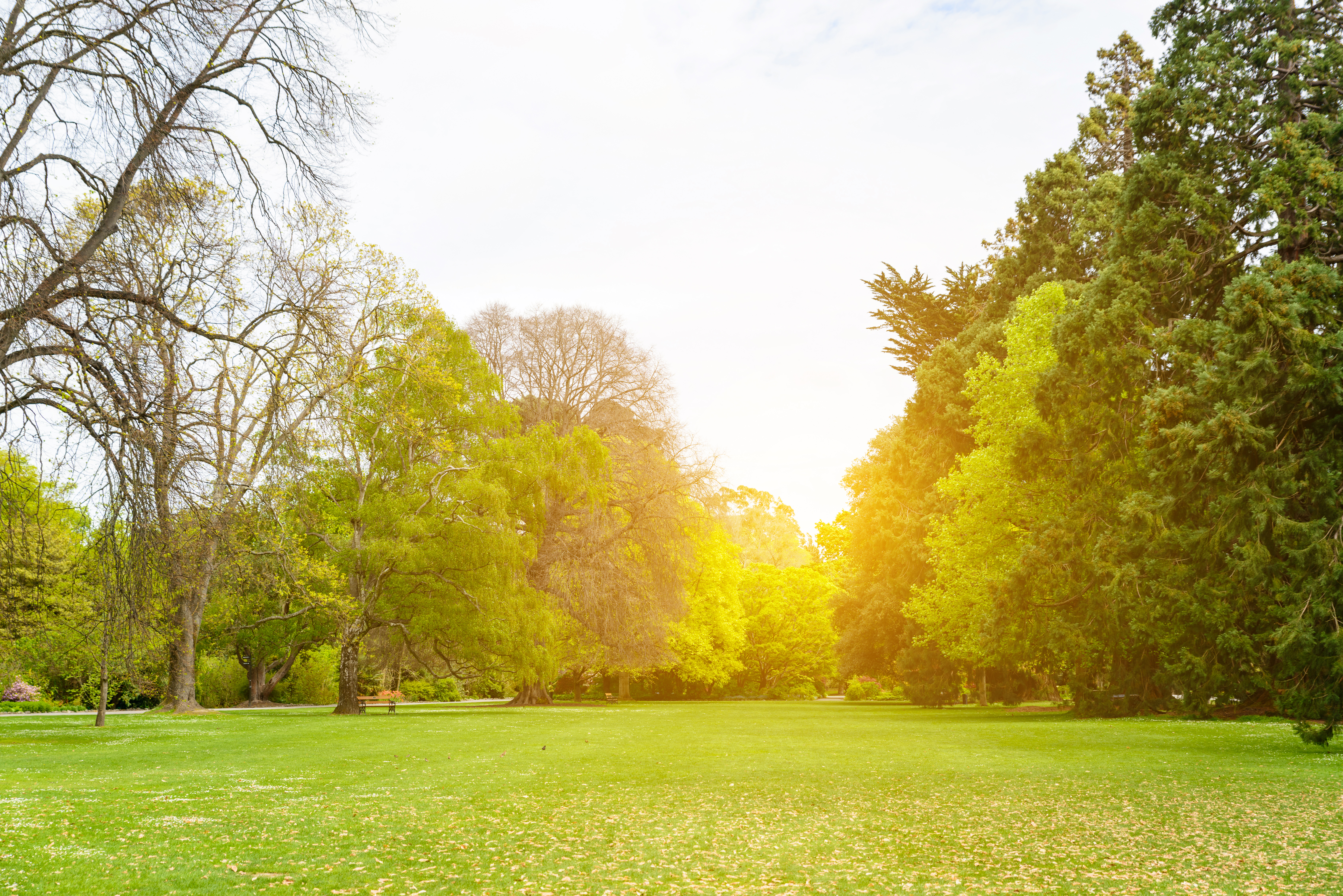 Pest control equipment