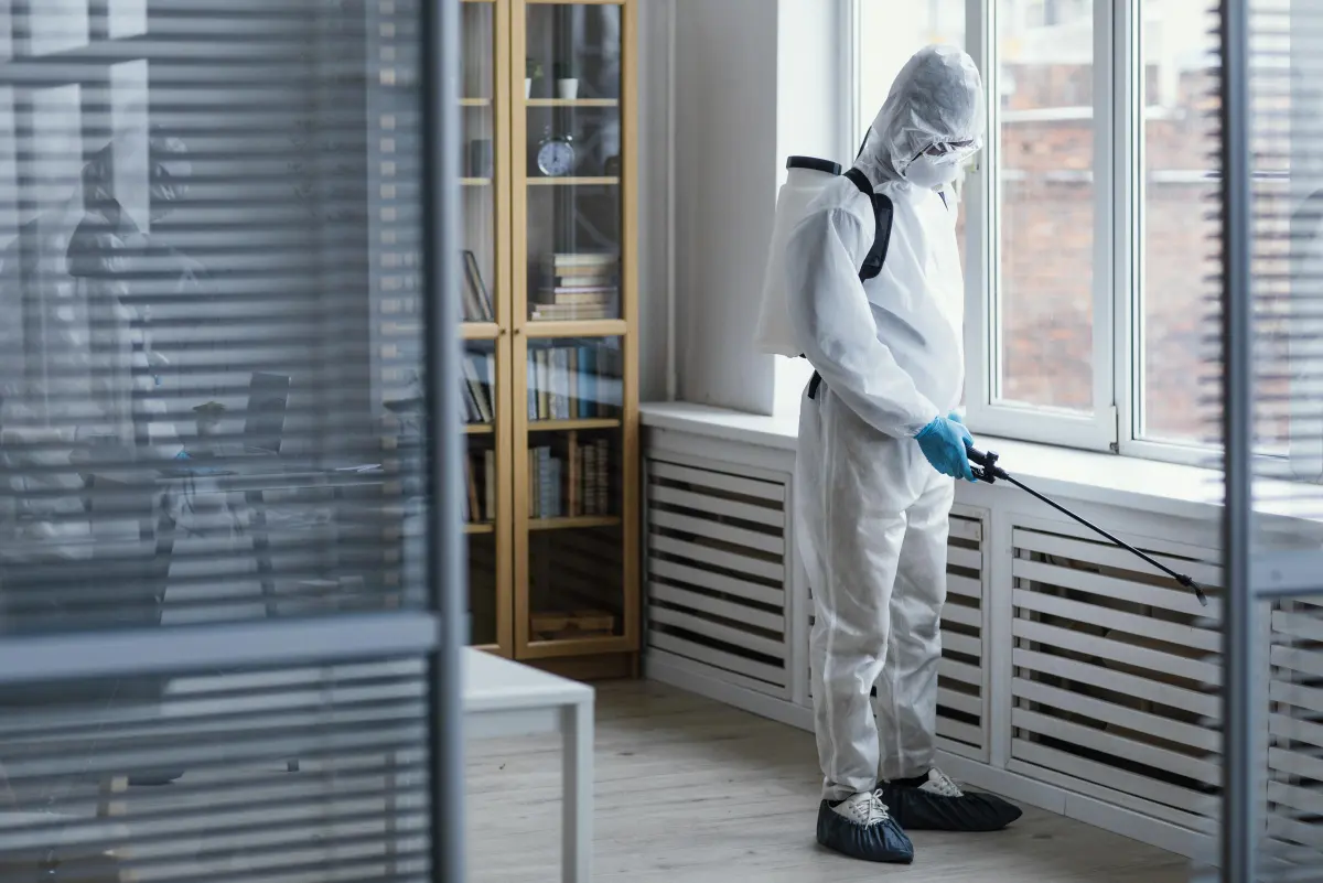 Exterminateur à Montréal inspectant une maison pour punaises de lit coquerelles et souris